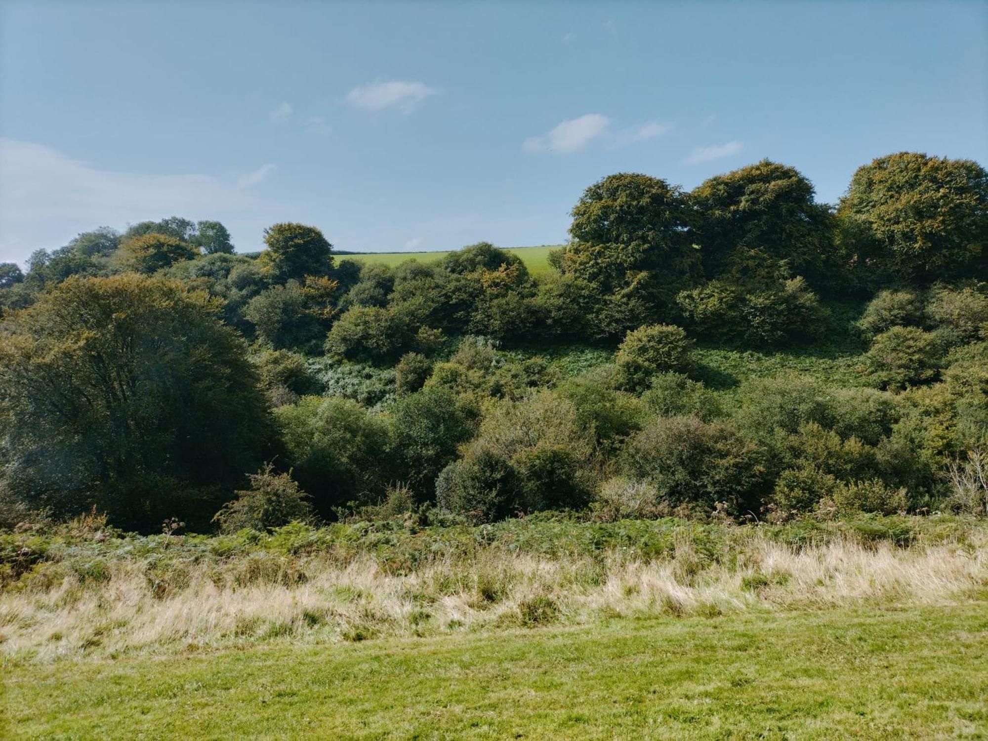 22 Stowford Gardens Combe Martin Διαμέρισμα Εξωτερικό φωτογραφία